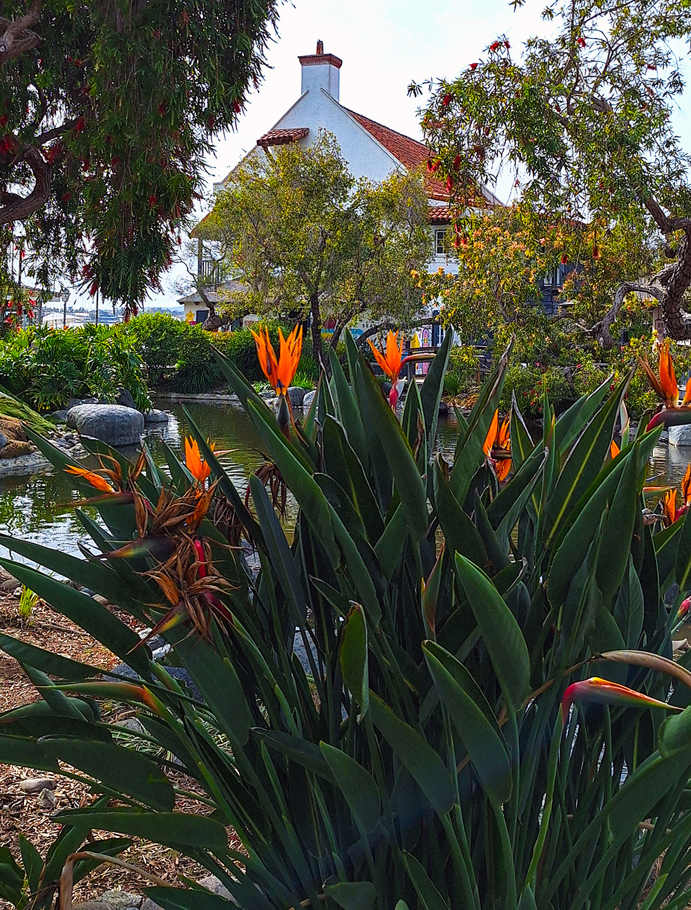 an outdoor landscape Seasonal Marketing